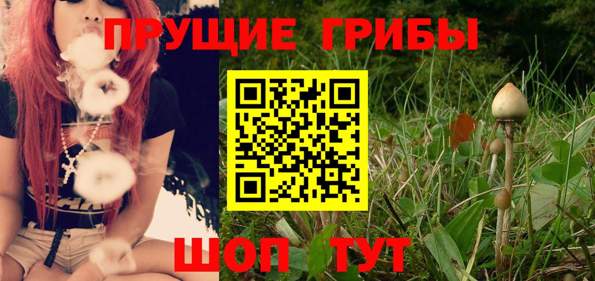Псилоцибиновые грибы мицелий Сунжа