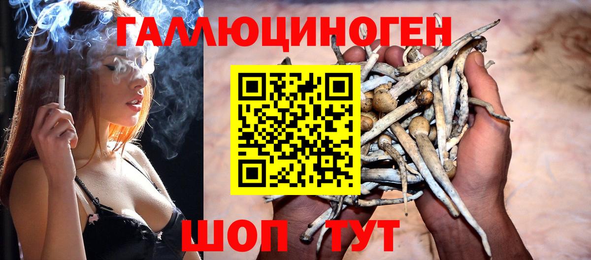 Галлюциногенные грибы мицелий  Вход с VPN  Галлюциногенные грибы мицелий  Сунжа 